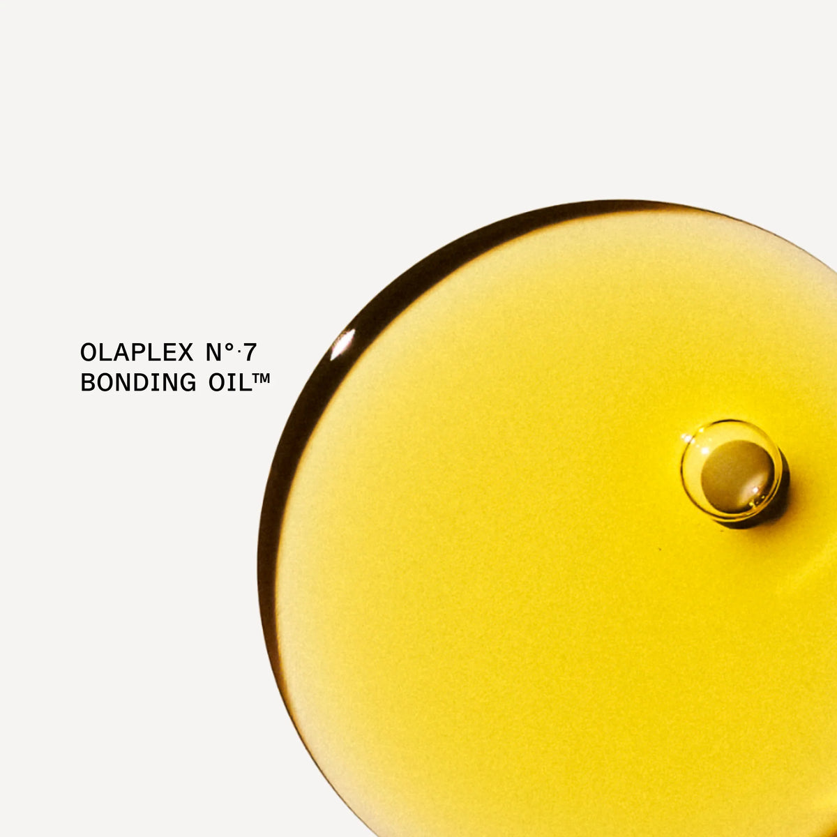 Original OLAPLEX® The Key to Shine Set